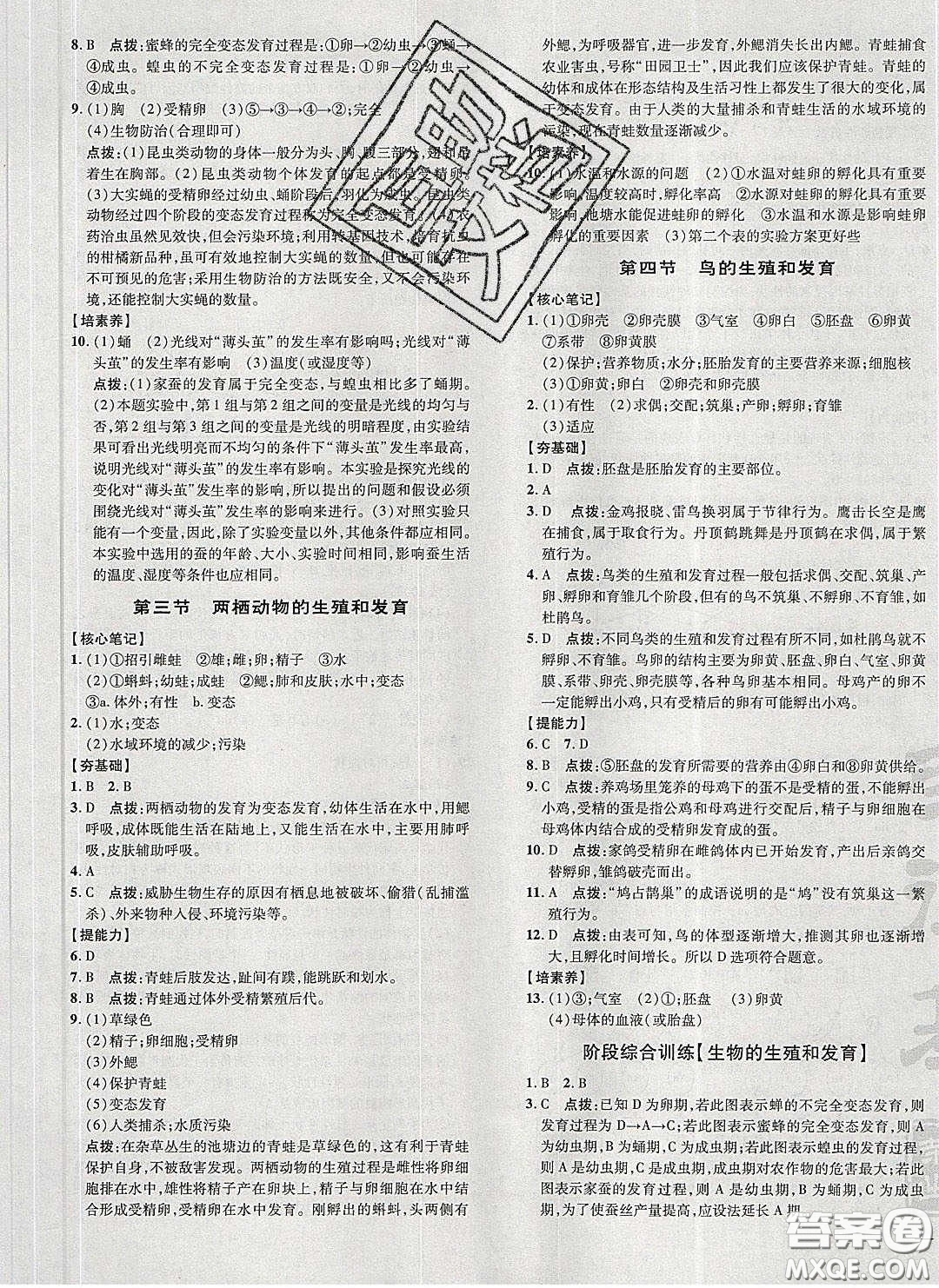 2020榮德基點撥訓練八年級生物下冊人教版答案