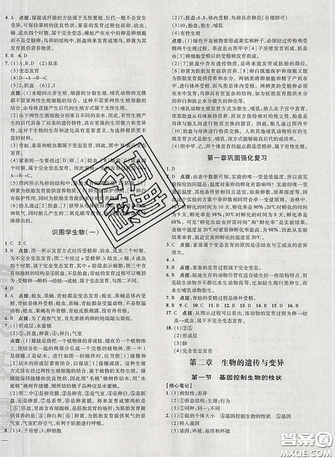 2020榮德基點撥訓練八年級生物下冊人教版答案