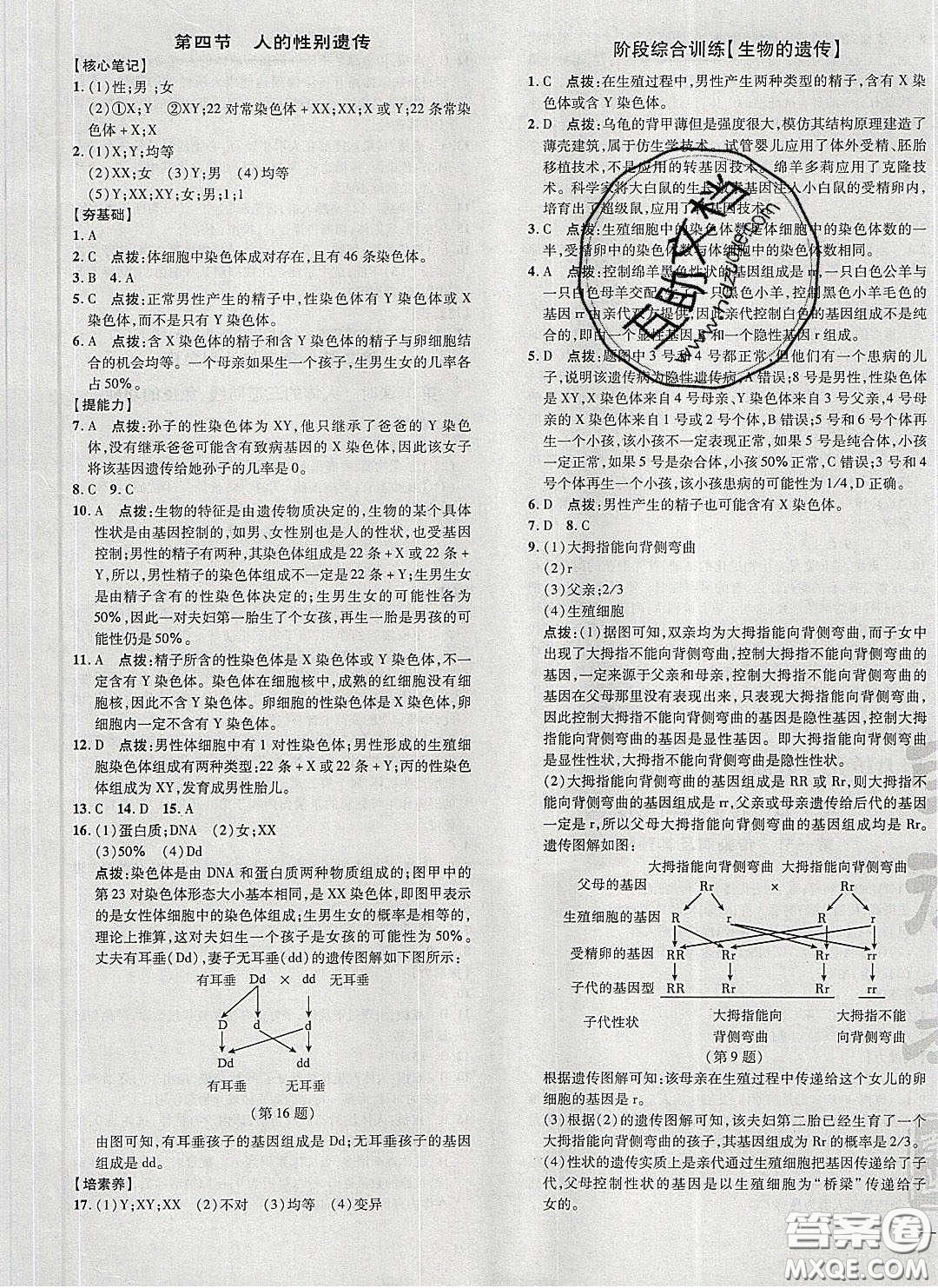 2020榮德基點撥訓練八年級生物下冊人教版答案