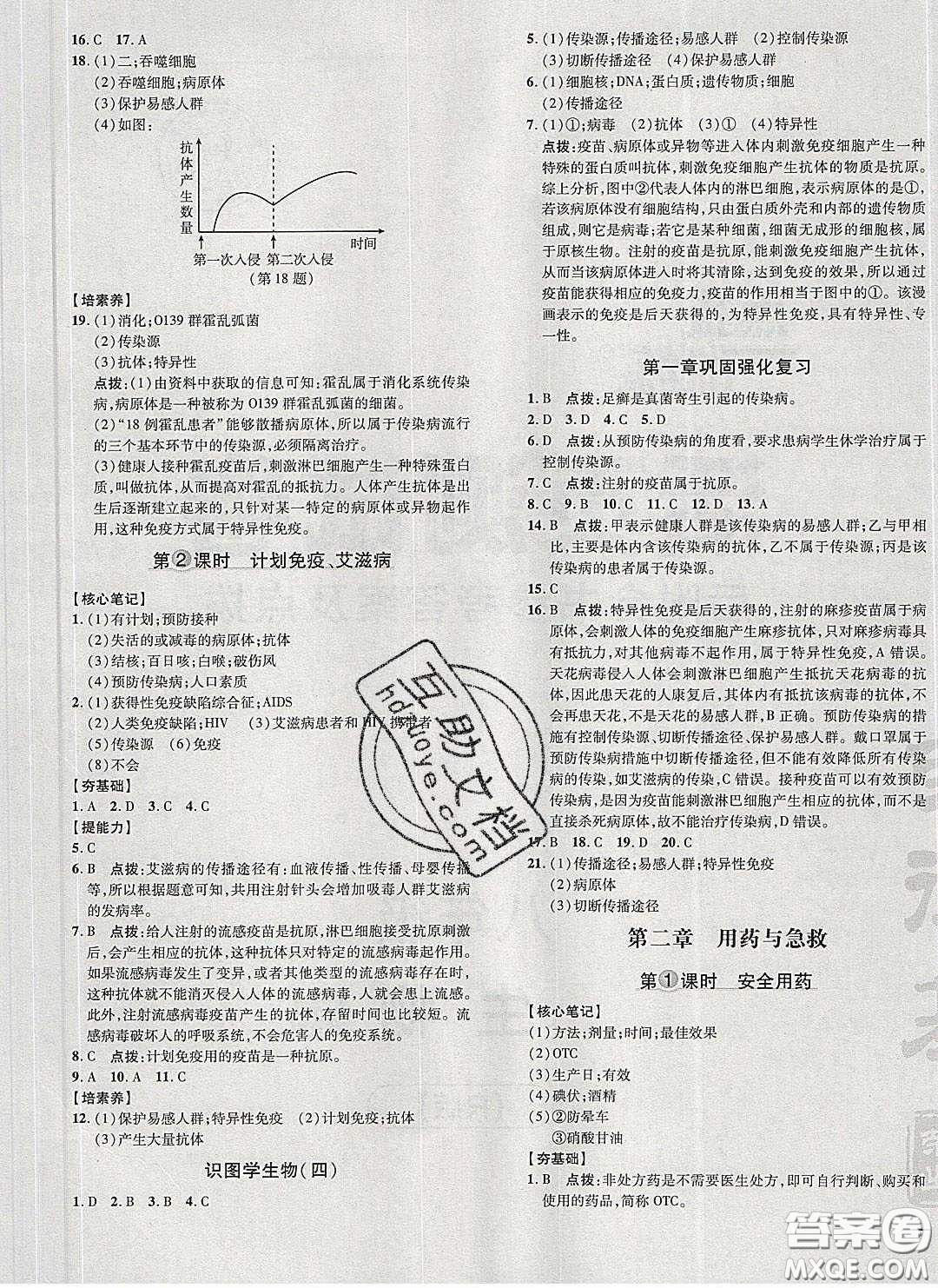 2020榮德基點撥訓練八年級生物下冊人教版答案