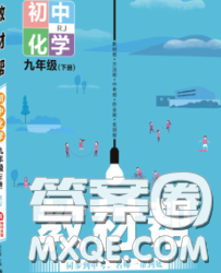 2020新版天星教育教材幫初中化學(xué)九年級下冊滬教版答案