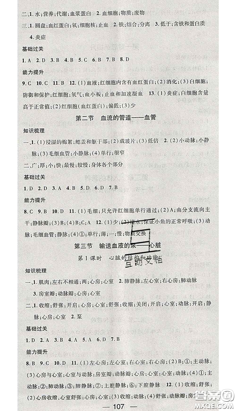 江西教育出版社2020春季名師測(cè)控七年級(jí)生物下冊(cè)人教版答案