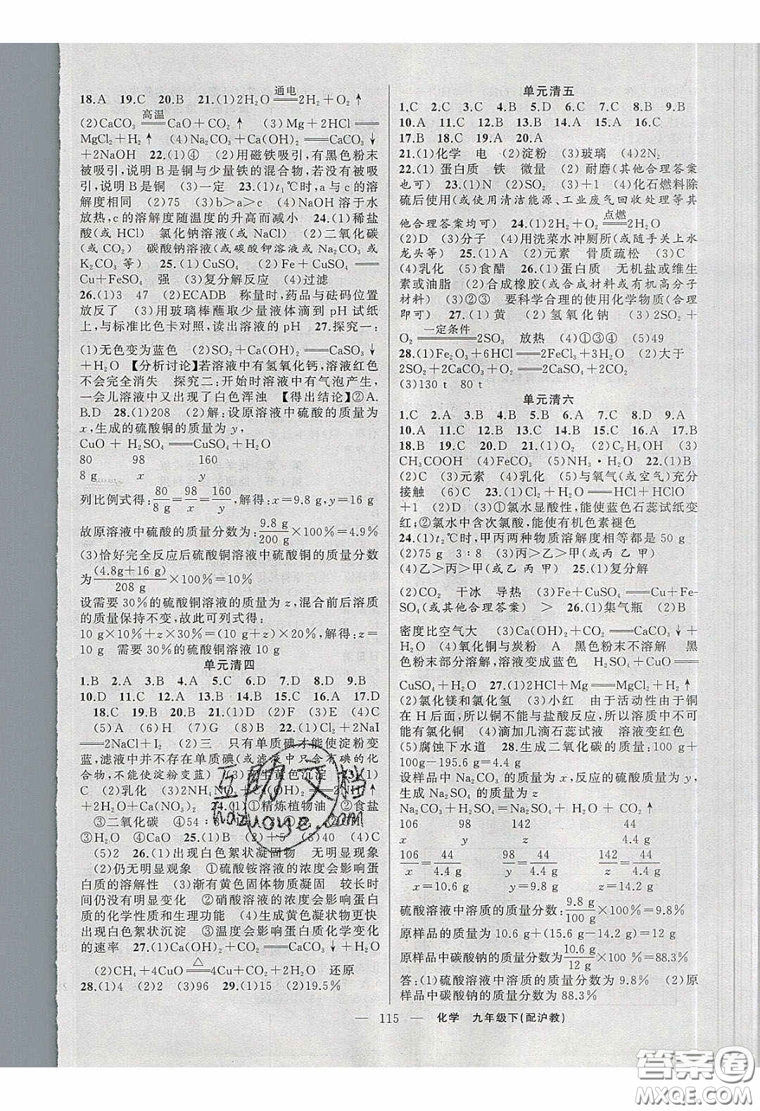 2020年四清導航九年級化學下冊滬教版答案