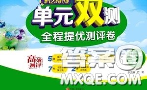 2020年單元雙測全程提優(yōu)測評卷化學九年級下冊RMJY人民教育版參考答案