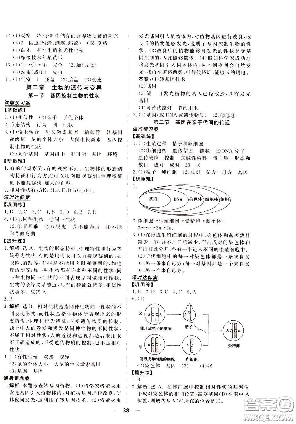 2020年新坐標同步練習生物八年級下冊人教版參考答案