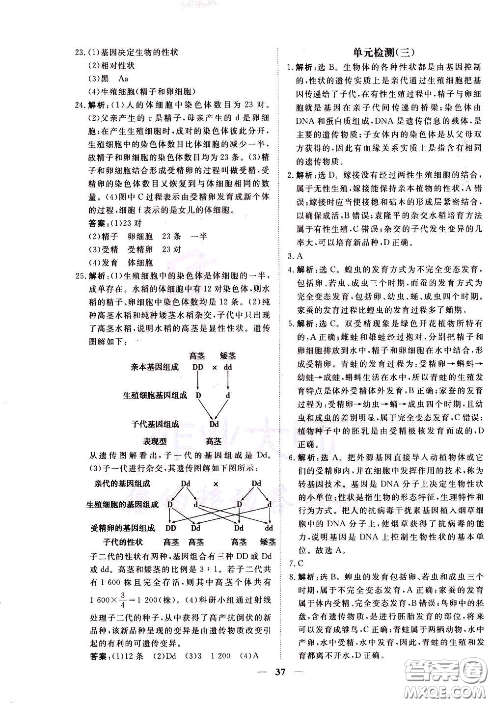 2020年新坐標同步練習生物八年級下冊人教版參考答案