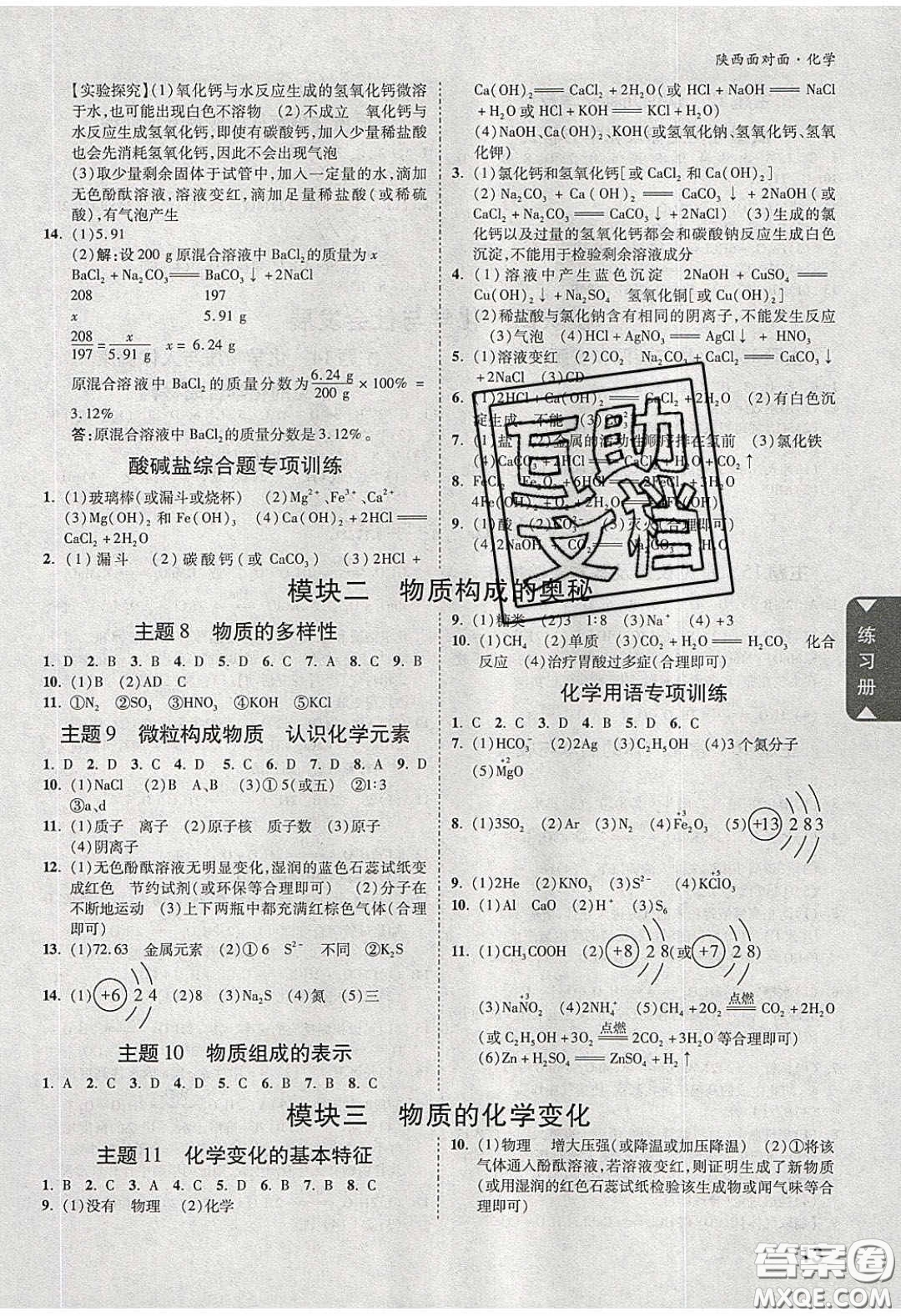 新疆青少年出版社2020陜西中考面對面化學(xué)人教版答案