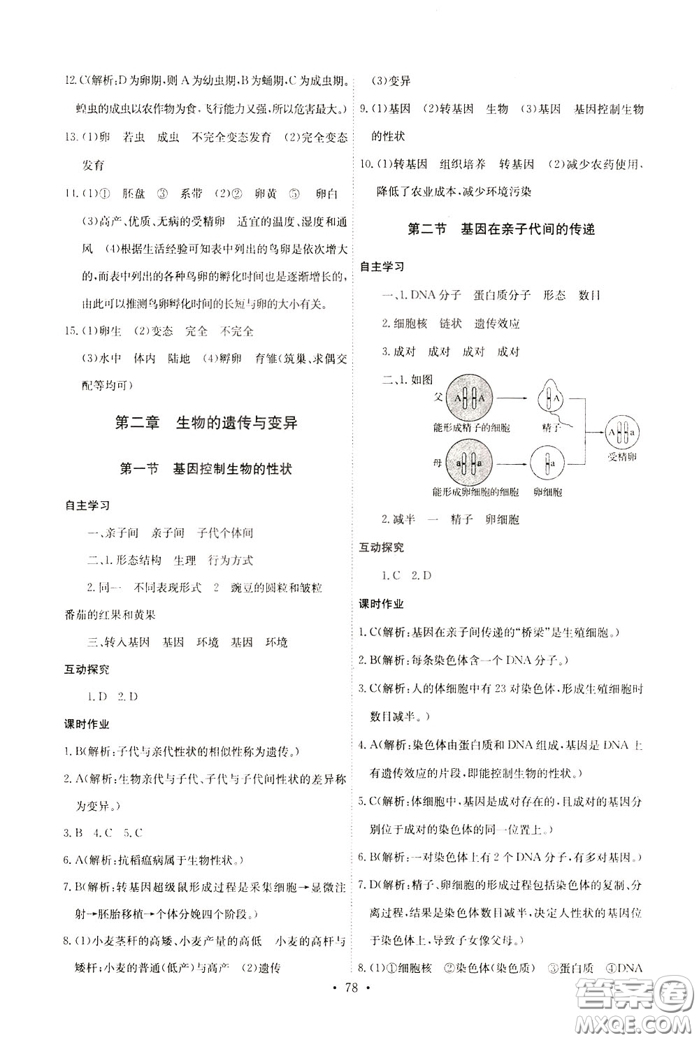 2020年長(zhǎng)江全能學(xué)案同步練習(xí)冊(cè)生物學(xué)八年級(jí)下冊(cè)人教版參考答案