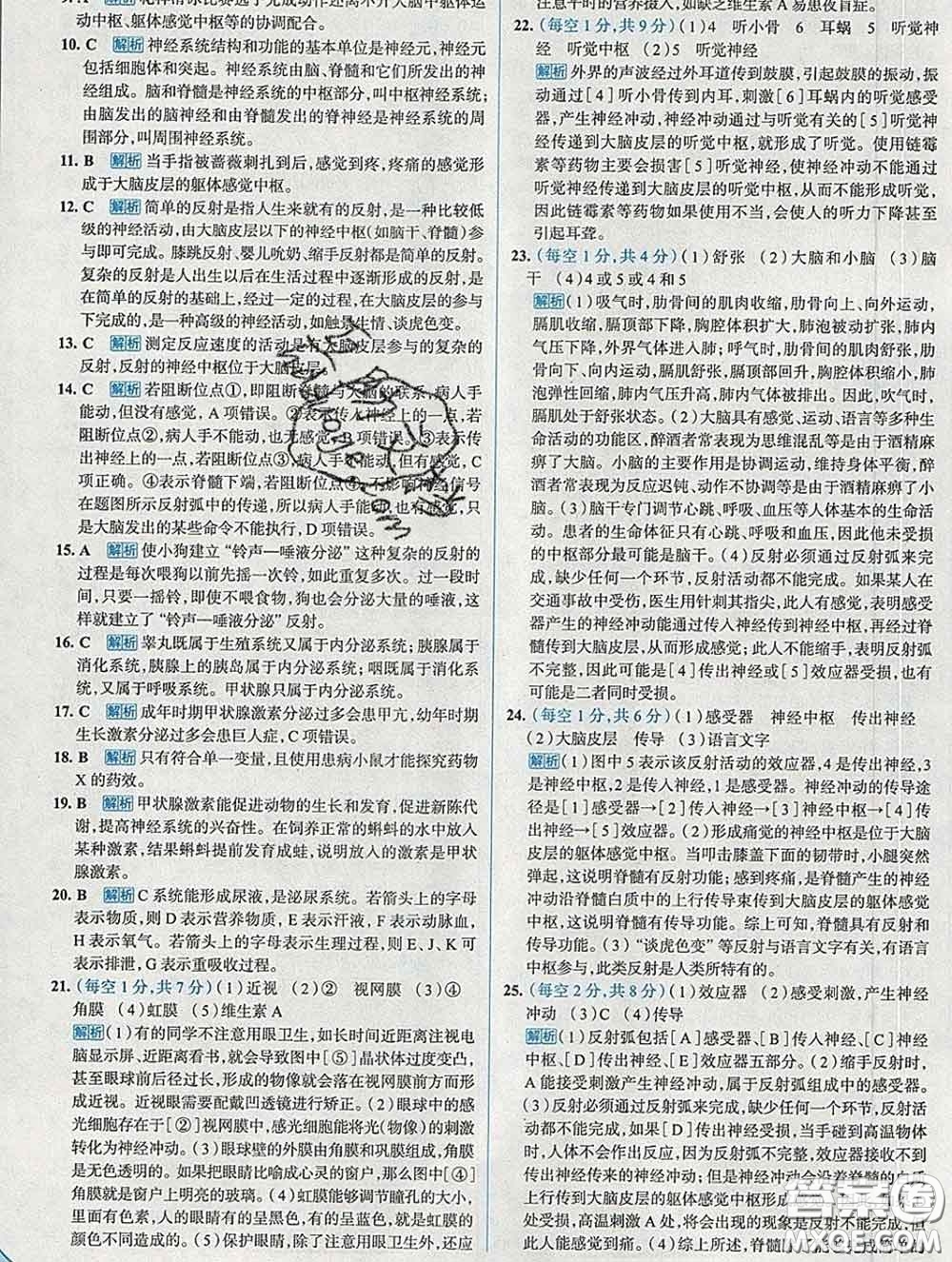 現(xiàn)代教育出版社2020新版走向中考考場(chǎng)七年級(jí)生物下冊(cè)人教版答案