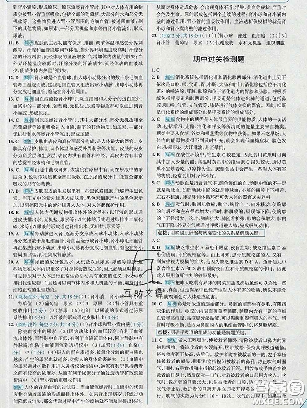 現(xiàn)代教育出版社2020新版走向中考考場(chǎng)七年級(jí)生物下冊(cè)濟(jì)南版答案