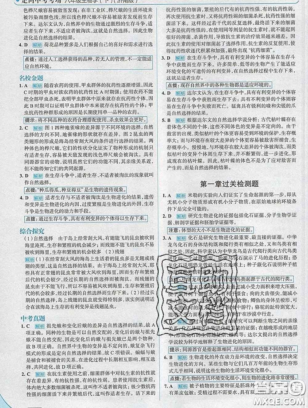 現(xiàn)代教育出版社2020新版走向中考考場八年級生物下冊濟(jì)南版答案