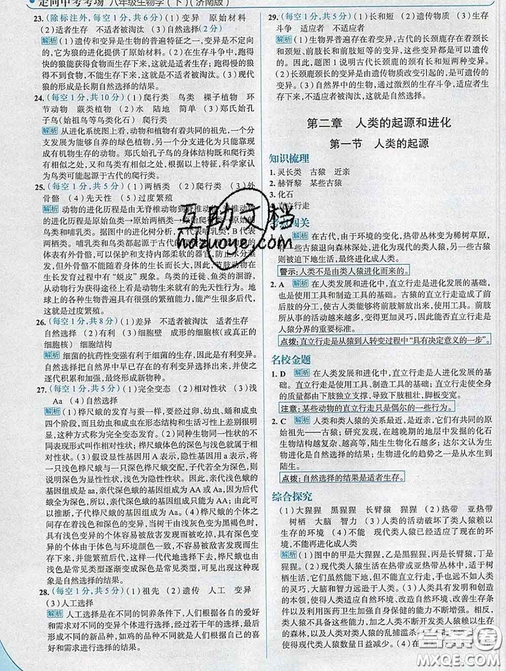 現(xiàn)代教育出版社2020新版走向中考考場八年級生物下冊濟(jì)南版答案