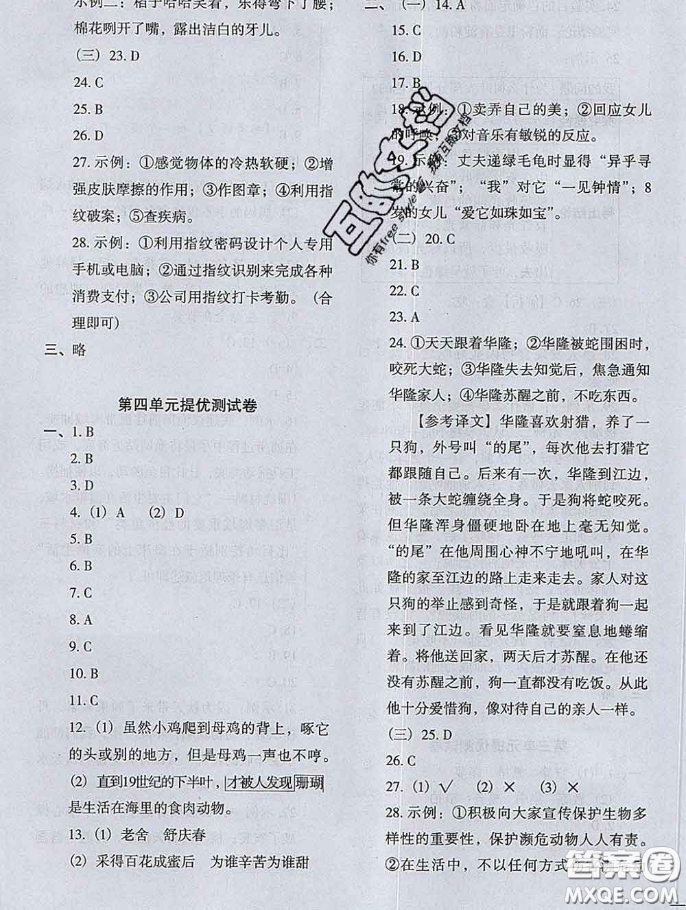 2020新版木頭馬分層課課練小學(xué)語(yǔ)文四年級(jí)下冊(cè)人教版答案