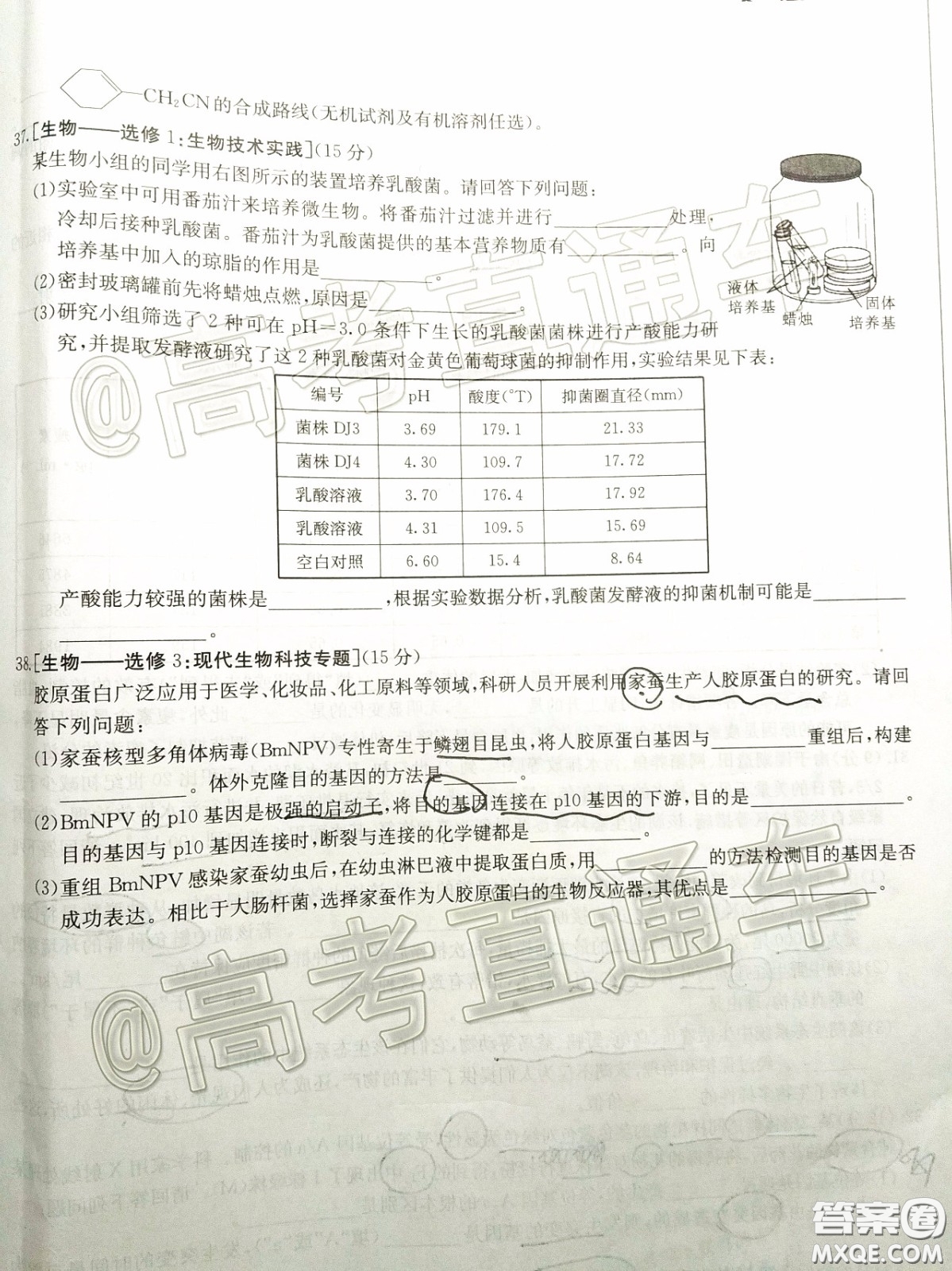 2020年陜西金太陽4月聯(lián)考理科綜合試題及答案