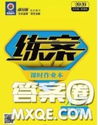 2020新版練案課時(shí)作業(yè)本九年級(jí)數(shù)學(xué)下冊(cè)人教版答案