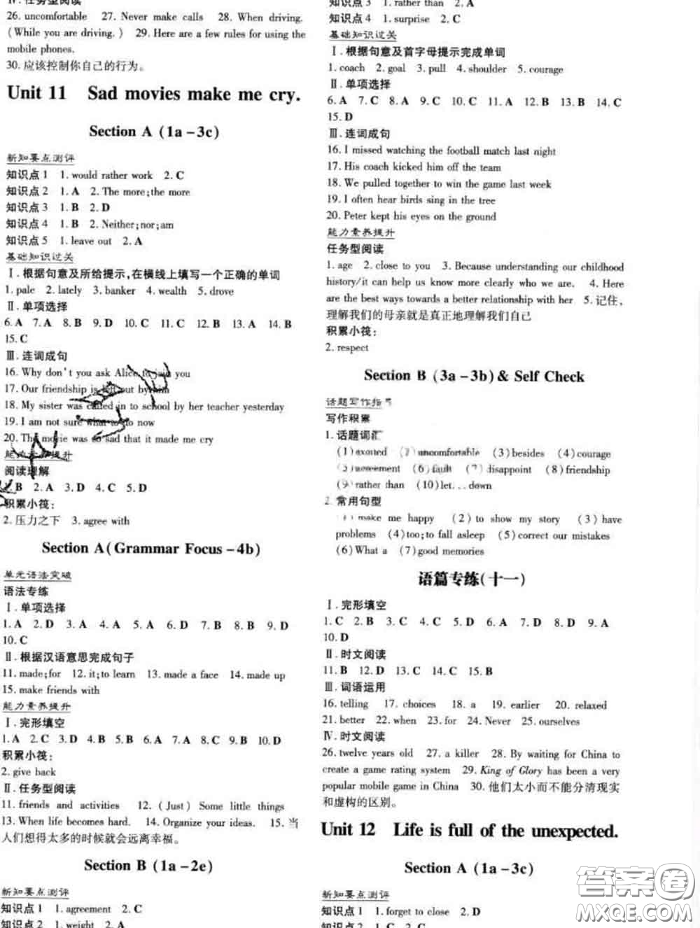 2020新版練案課時作業(yè)本九年級英語下冊冀教版答案