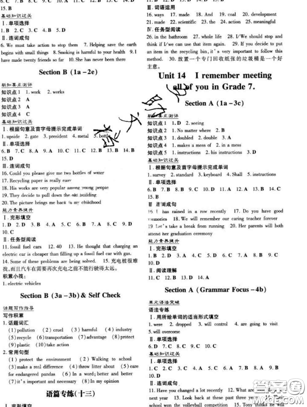 2020新版練案課時作業(yè)本九年級英語下冊冀教版答案