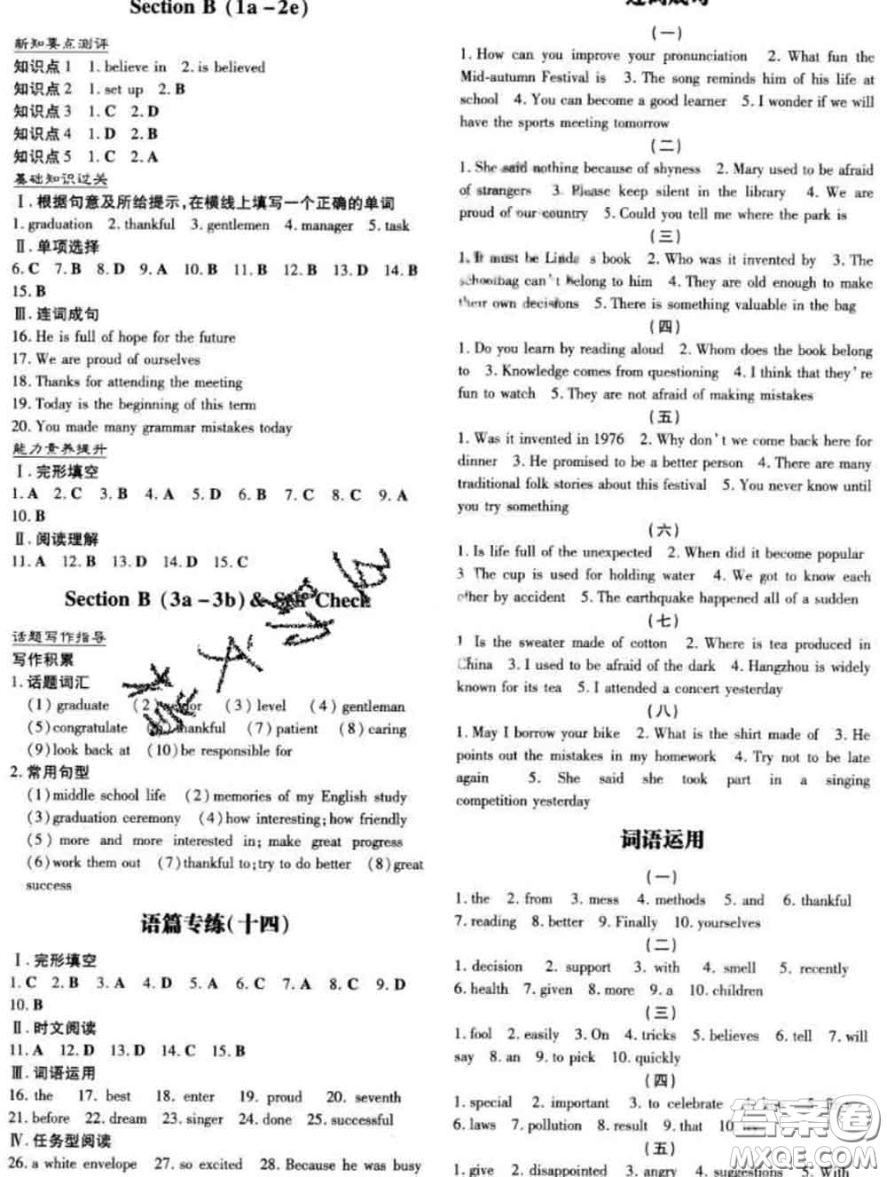 2020新版練案課時作業(yè)本九年級英語下冊冀教版答案