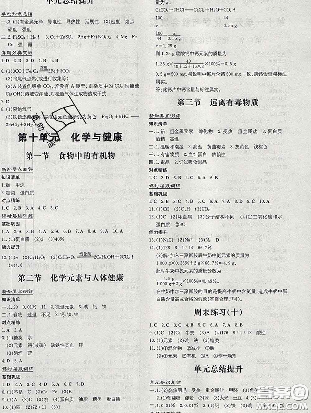 2020新版練案課時作業(yè)本九年級化學(xué)下冊魯教版答案