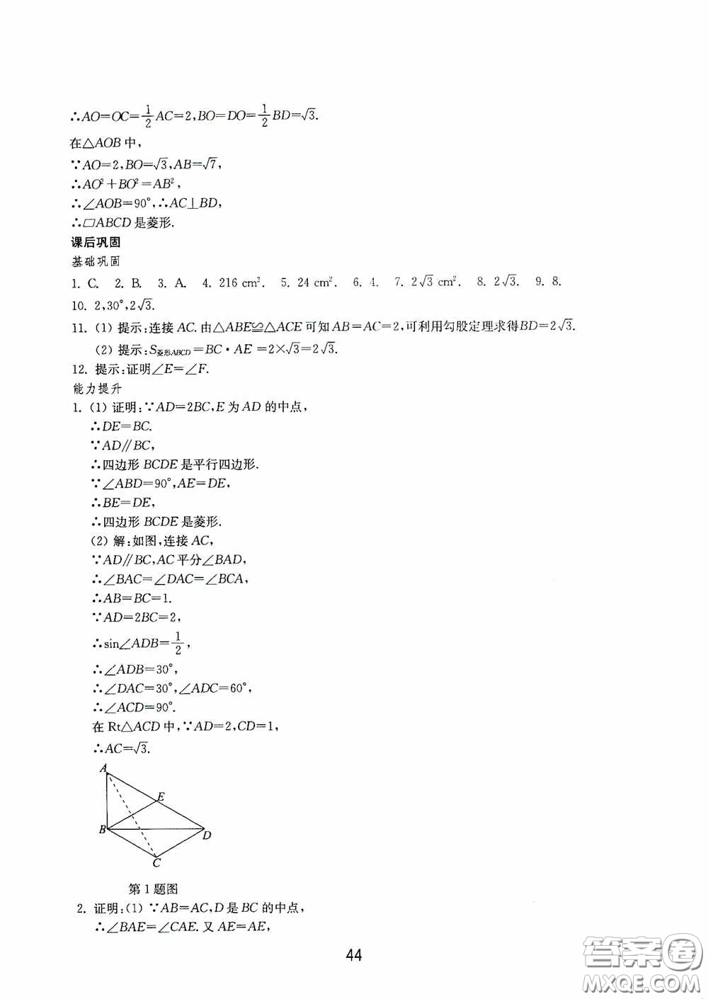 山東教育出版社2020初中基礎訓練八年級數(shù)學下冊54學制答案