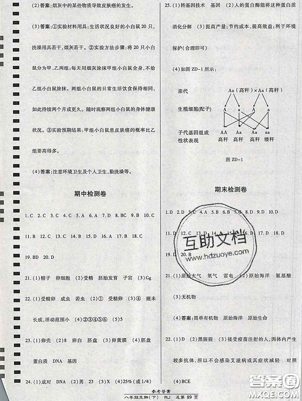 2020春高效課時(shí)通10分鐘掌握課堂八年級(jí)生物下冊(cè)人教版參考答案