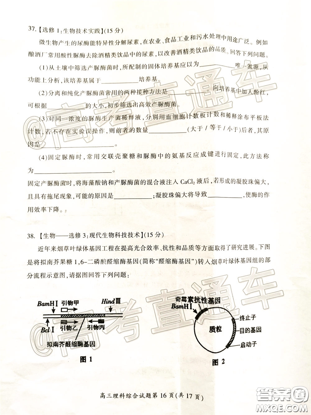 郴州市2020屆高三第二次教學質(zhì)量監(jiān)測試卷理科綜合試題及答案