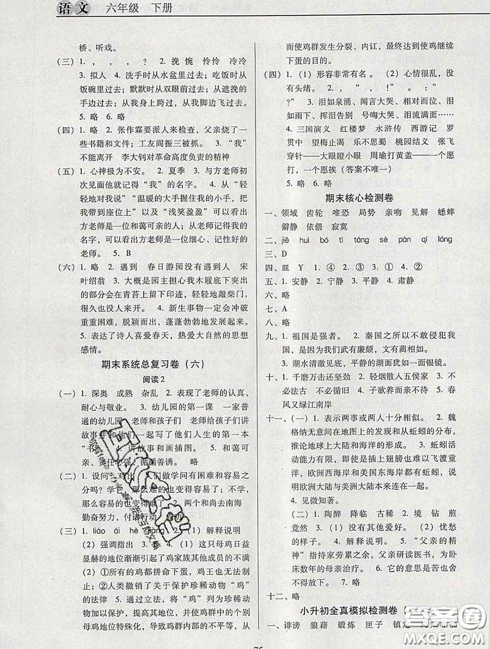 2020新版名校名師培優(yōu)作業(yè)本加核心試卷六年級語文下冊人教版答案