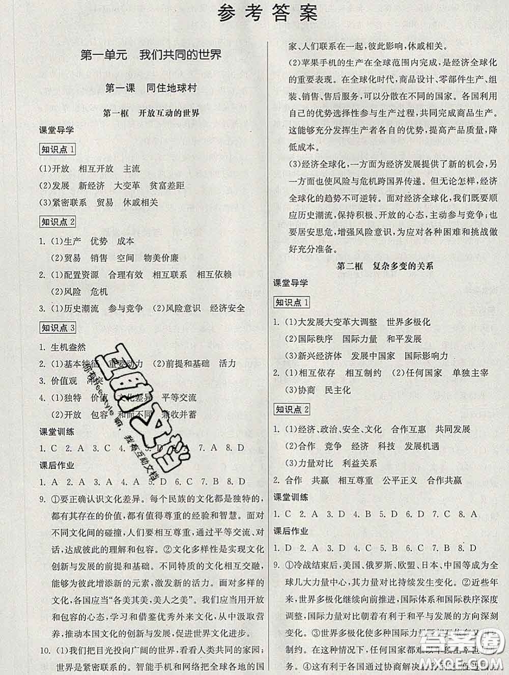 2020春名師小課堂同步精練九年級道德與法治下冊人教版答案