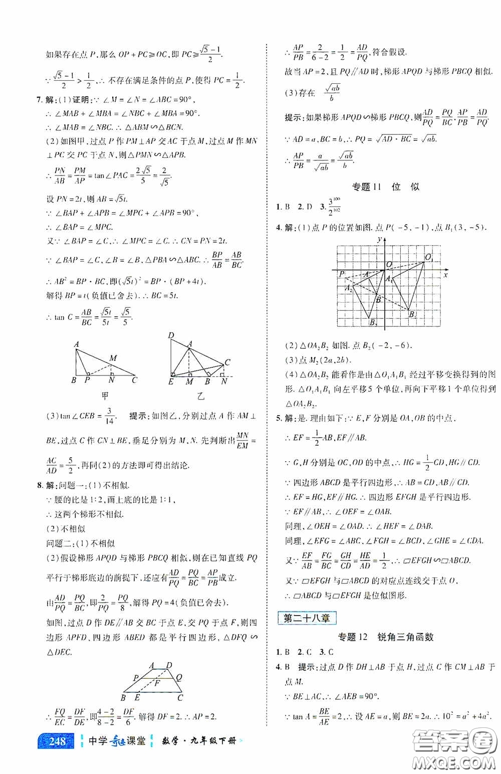 世紀英才中學奇跡課堂2020中考專題總復習九年級數學下冊人教版教材答案