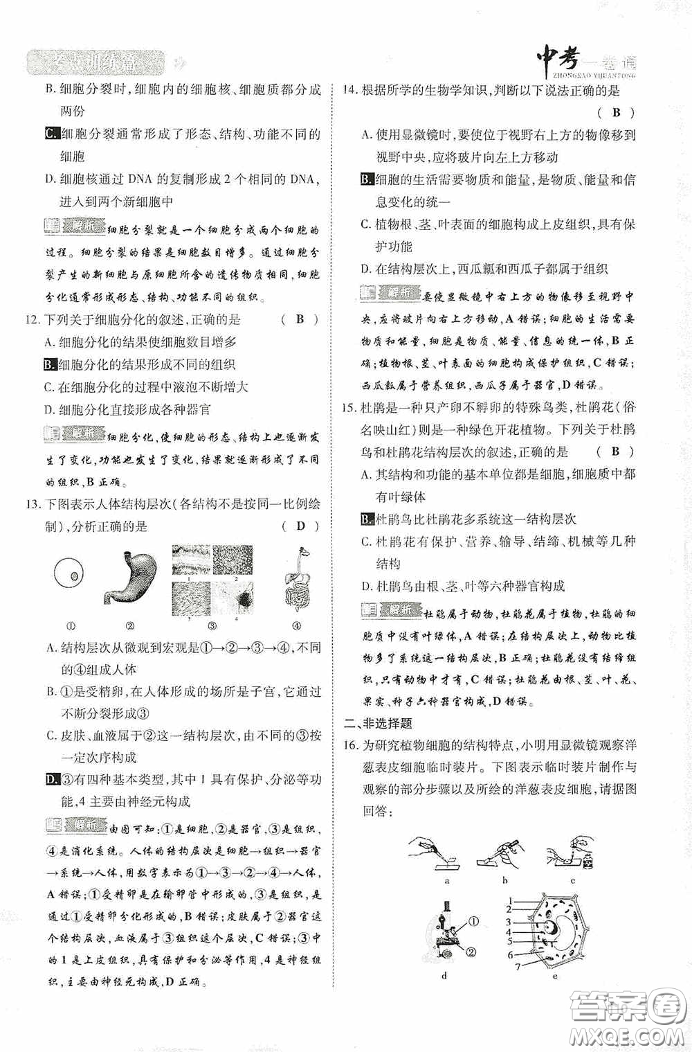 2020中考一卷通考點(diǎn)訓(xùn)練篇生物6篇訓(xùn)練答案