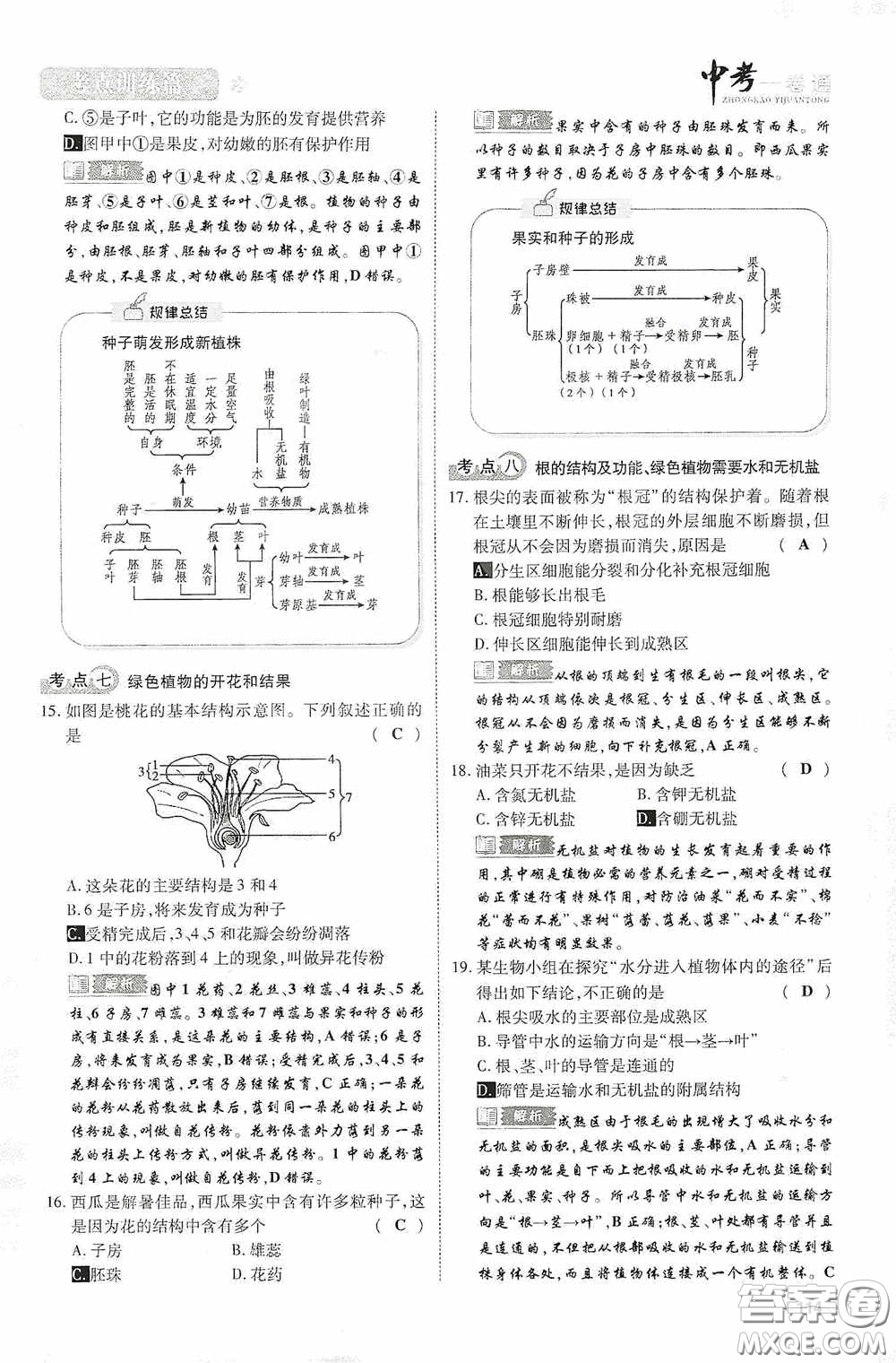 2020中考一卷通考點(diǎn)訓(xùn)練篇生物6篇訓(xùn)練答案