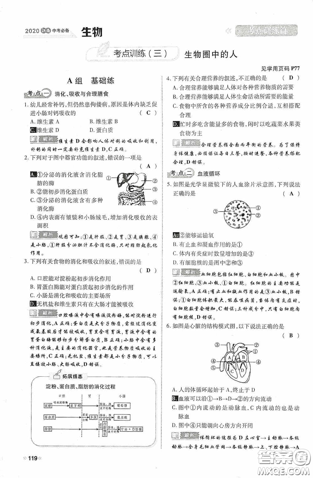 2020中考一卷通考點(diǎn)訓(xùn)練篇生物6篇訓(xùn)練答案