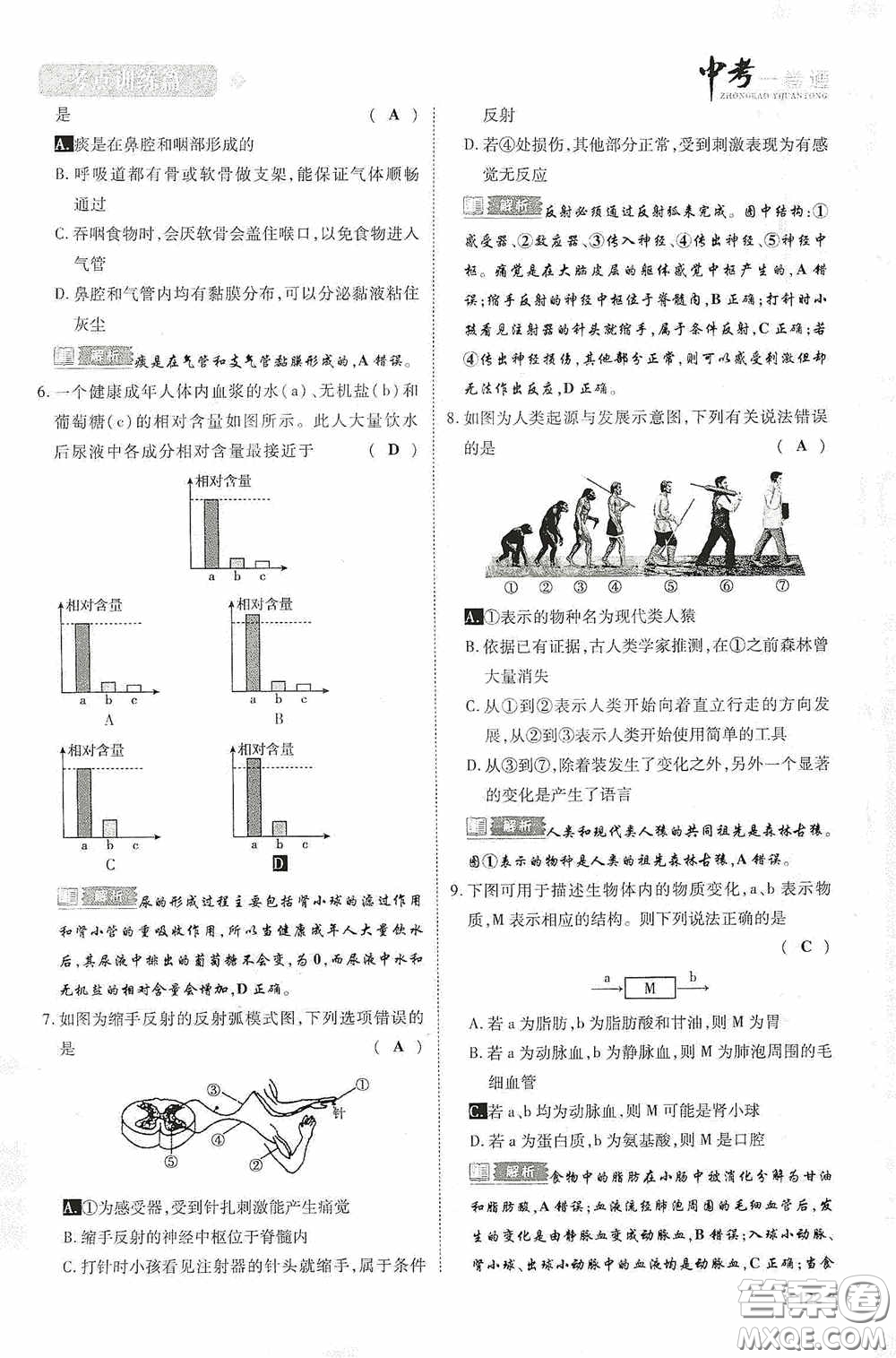 2020中考一卷通考點(diǎn)訓(xùn)練篇生物6篇訓(xùn)練答案