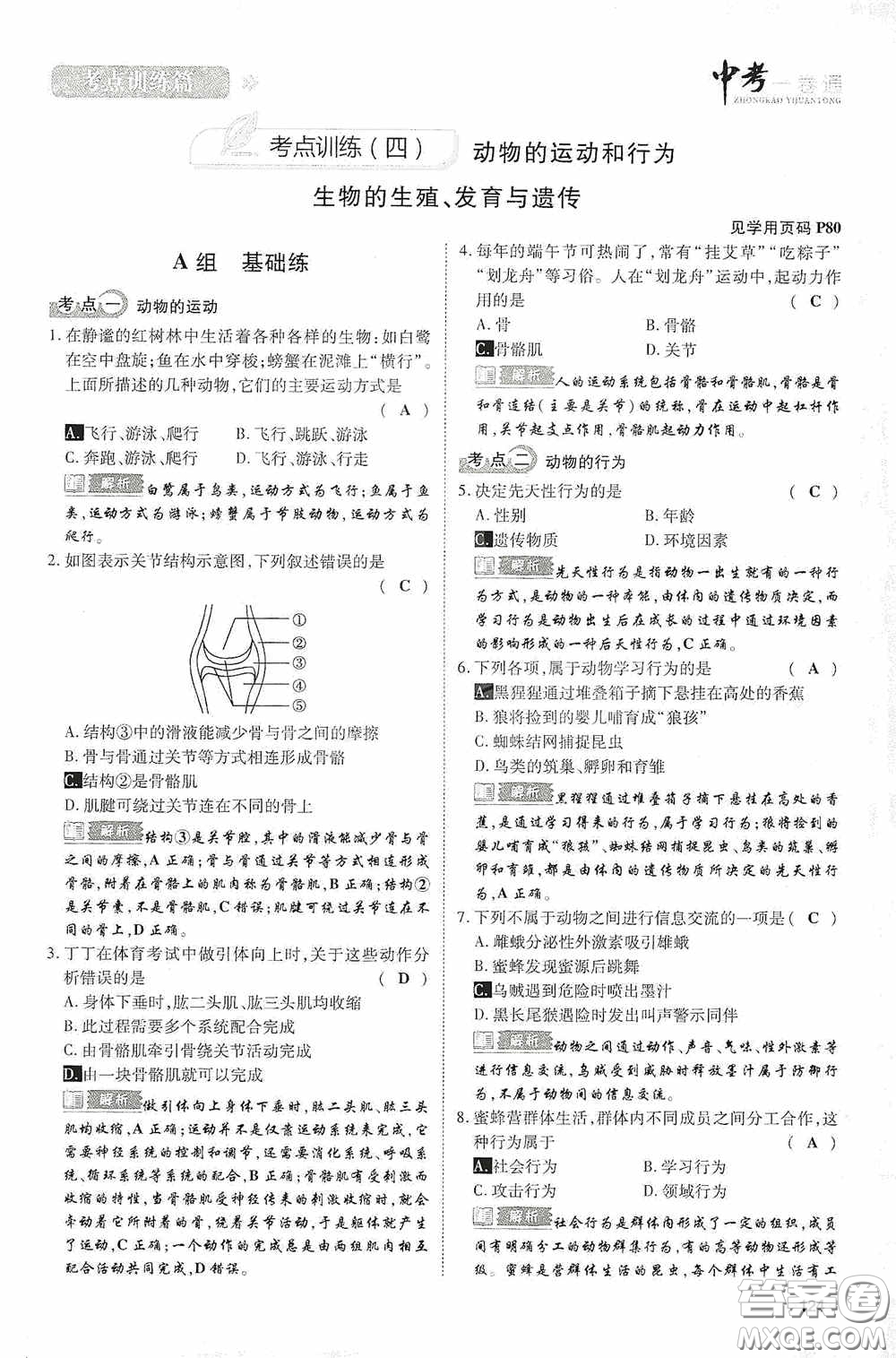 2020中考一卷通考點(diǎn)訓(xùn)練篇生物6篇訓(xùn)練答案