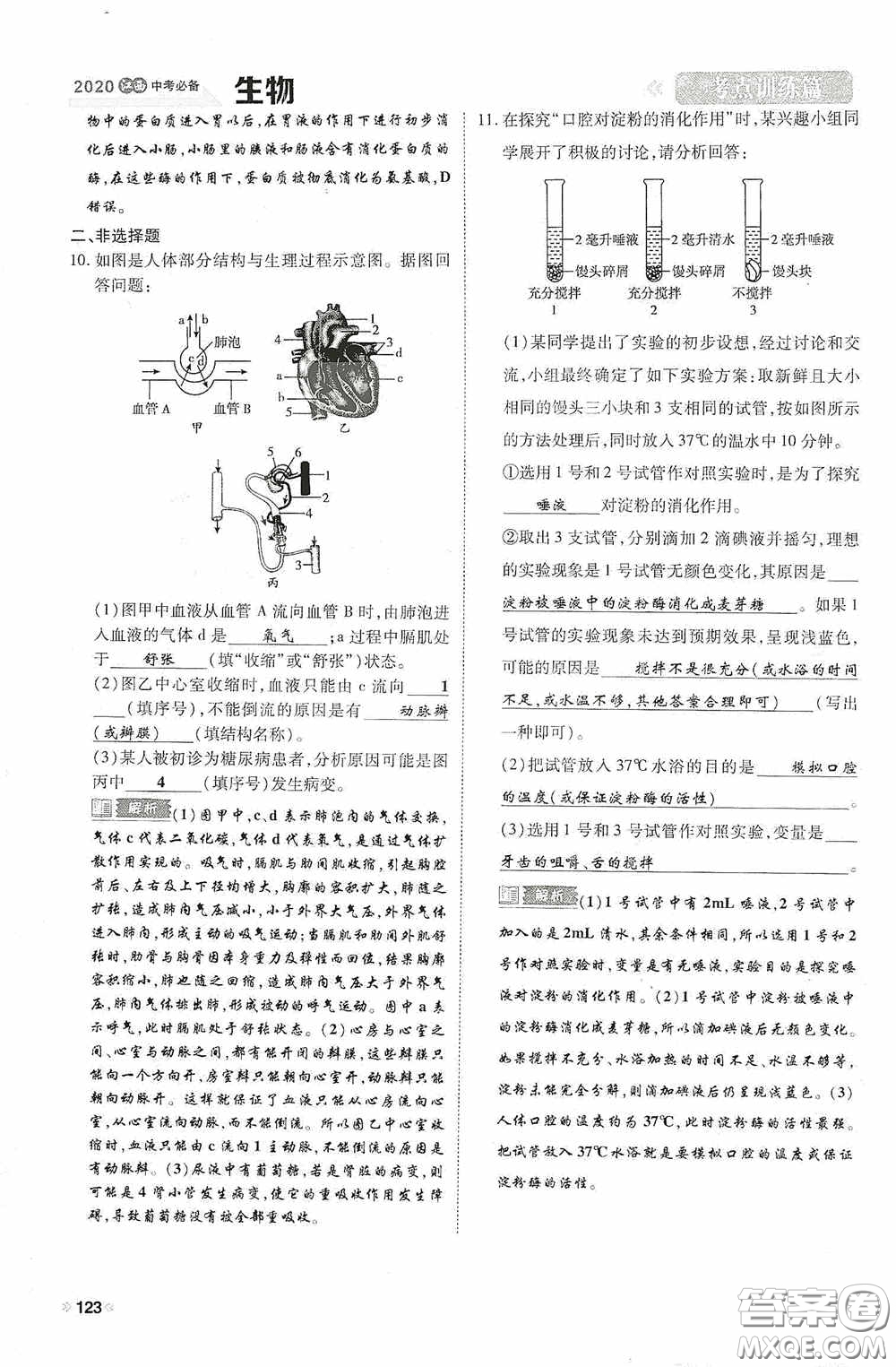 2020中考一卷通考點(diǎn)訓(xùn)練篇生物6篇訓(xùn)練答案