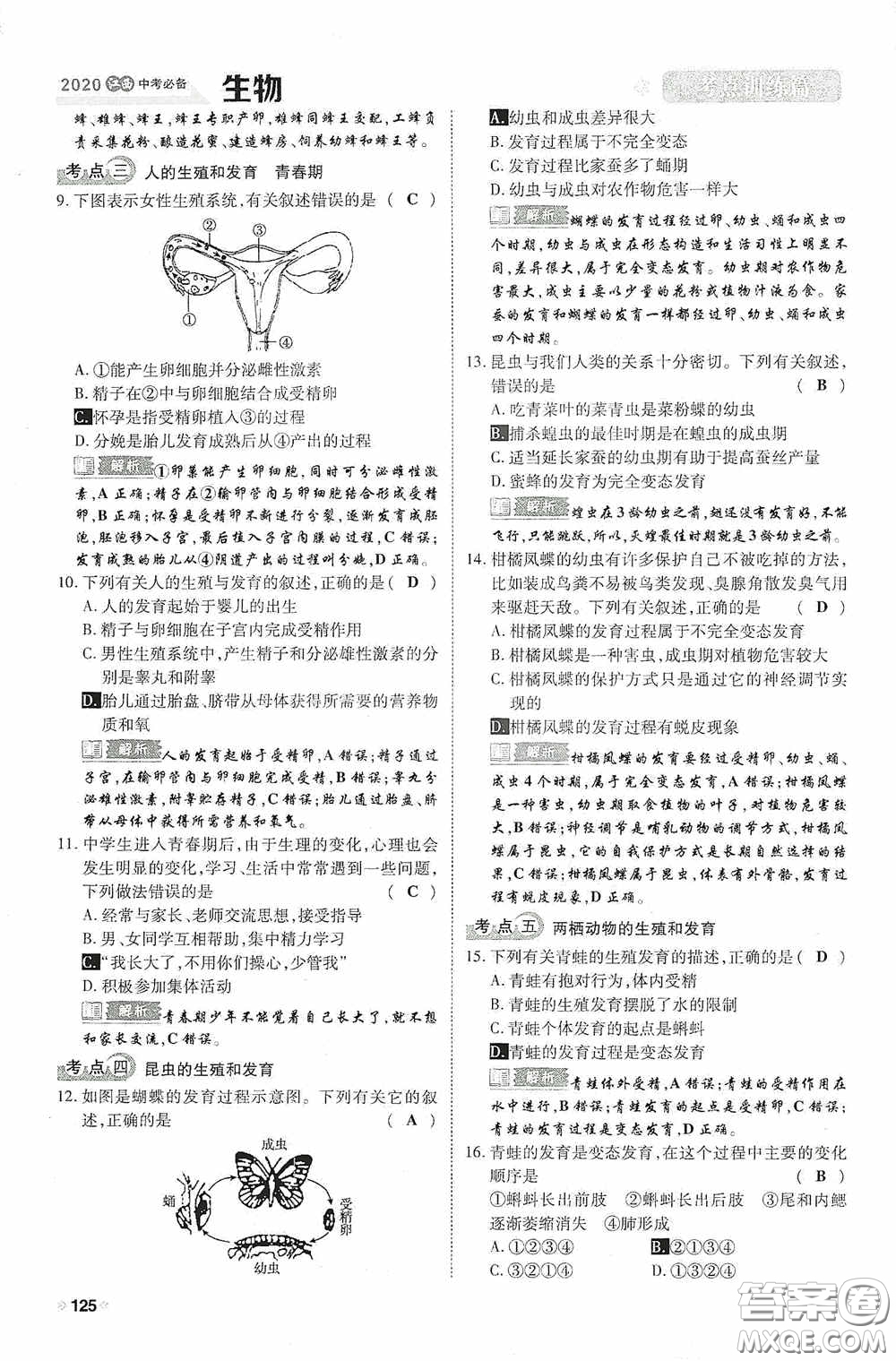 2020中考一卷通考點(diǎn)訓(xùn)練篇生物6篇訓(xùn)練答案