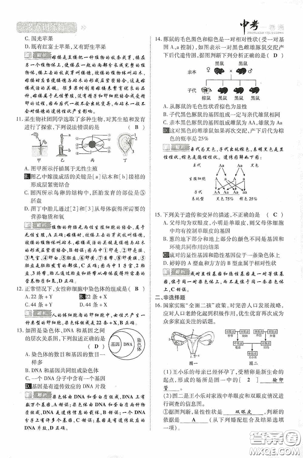 2020中考一卷通考點(diǎn)訓(xùn)練篇生物6篇訓(xùn)練答案