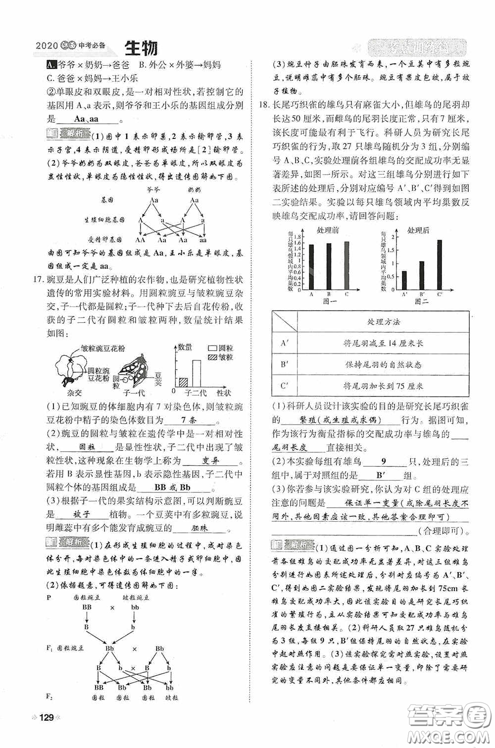 2020中考一卷通考點(diǎn)訓(xùn)練篇生物6篇訓(xùn)練答案