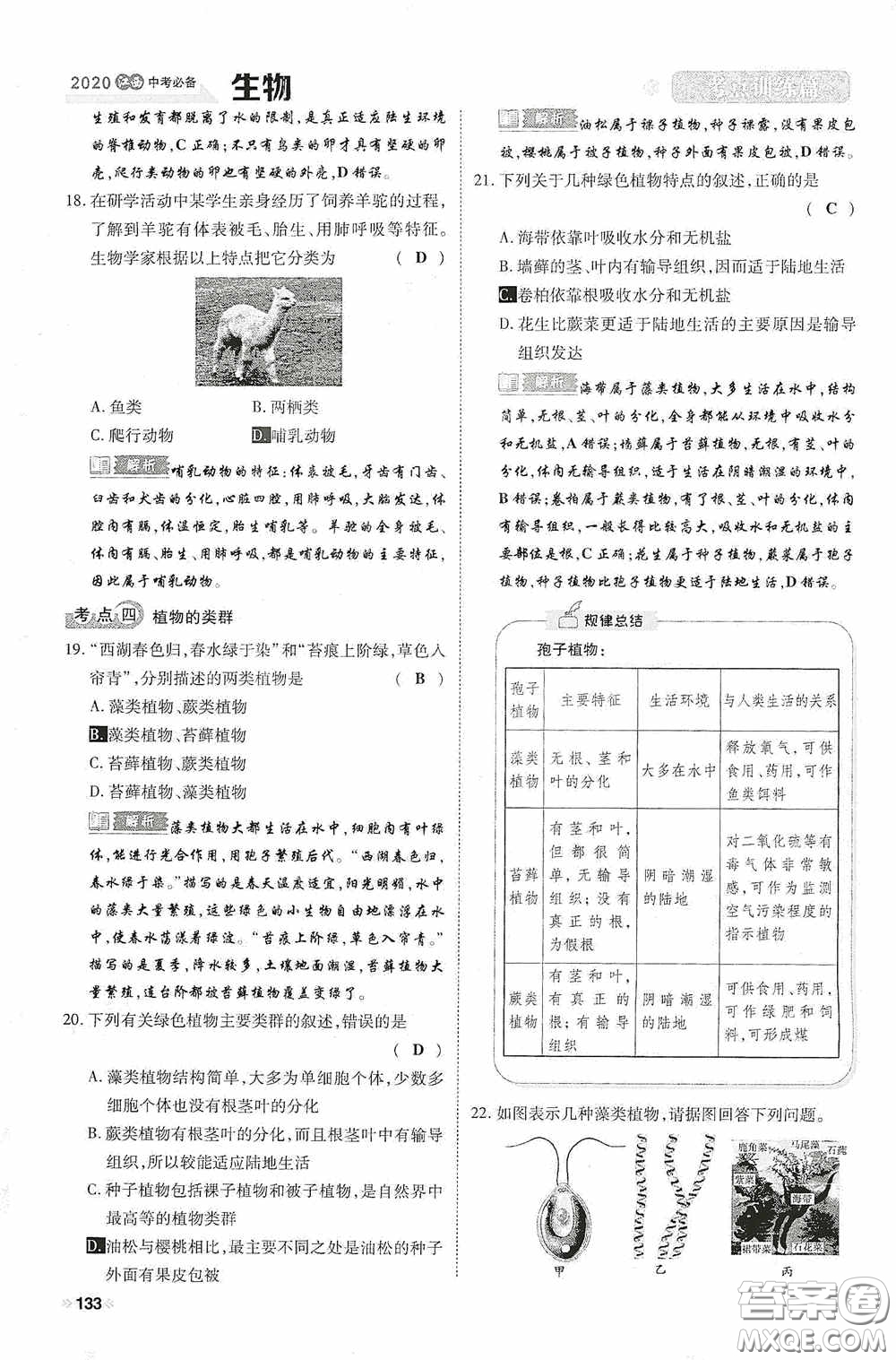 2020中考一卷通考點(diǎn)訓(xùn)練篇生物6篇訓(xùn)練答案