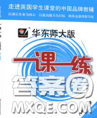 2020新版華東師大版一課一練八年級(jí)數(shù)學(xué)第二學(xué)期答案