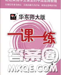 2020新版華東師大版一課一練八年級(jí)數(shù)學(xué)第二學(xué)期增強(qiáng)版答案