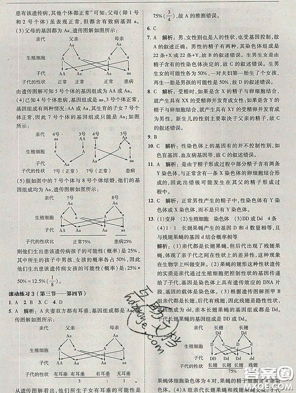 東北師范大學出版社2020春北大綠卡刷題八年級生物下冊人教版答案