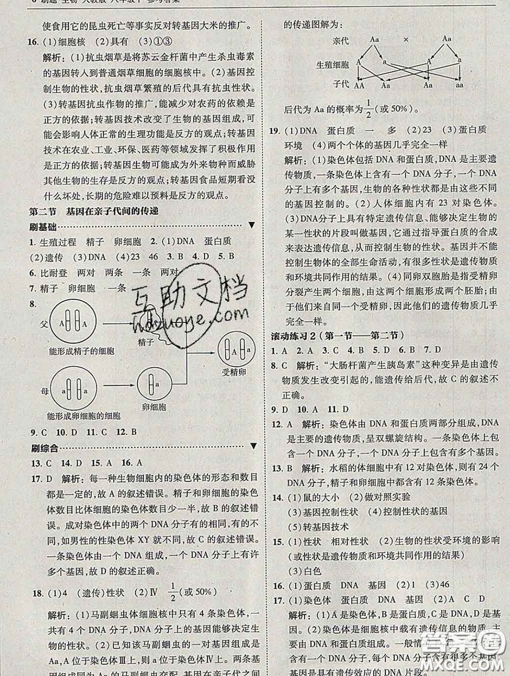 東北師范大學出版社2020春北大綠卡刷題八年級生物下冊人教版答案