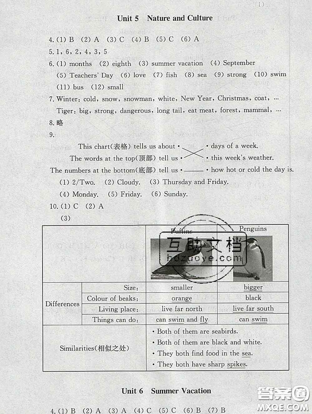 2020春海淀名師伴你學同步學練測六年級英語下冊人教版答案