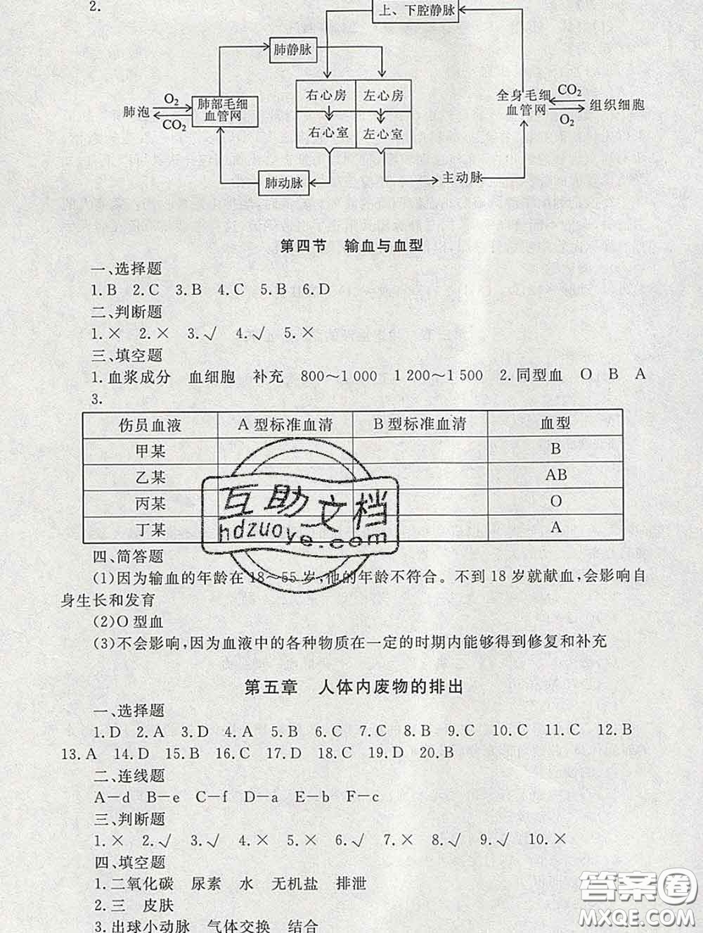 2020春海淀名師伴你學(xué)同步學(xué)練測(cè)七年級(jí)生物下冊(cè)人教版答案