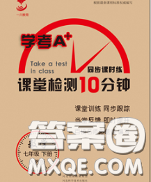 2020一川教育學(xué)考A+課堂檢測(cè)10分鐘七年級(jí)數(shù)學(xué)下冊(cè)人教版答案