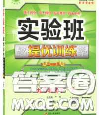 春雨教育2020春實(shí)驗(yàn)班提優(yōu)訓(xùn)練九年級(jí)化學(xué)下冊(cè)人教版答案