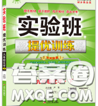 春雨教育2020春實驗班提優(yōu)訓練九年級化學下冊魯教版答案