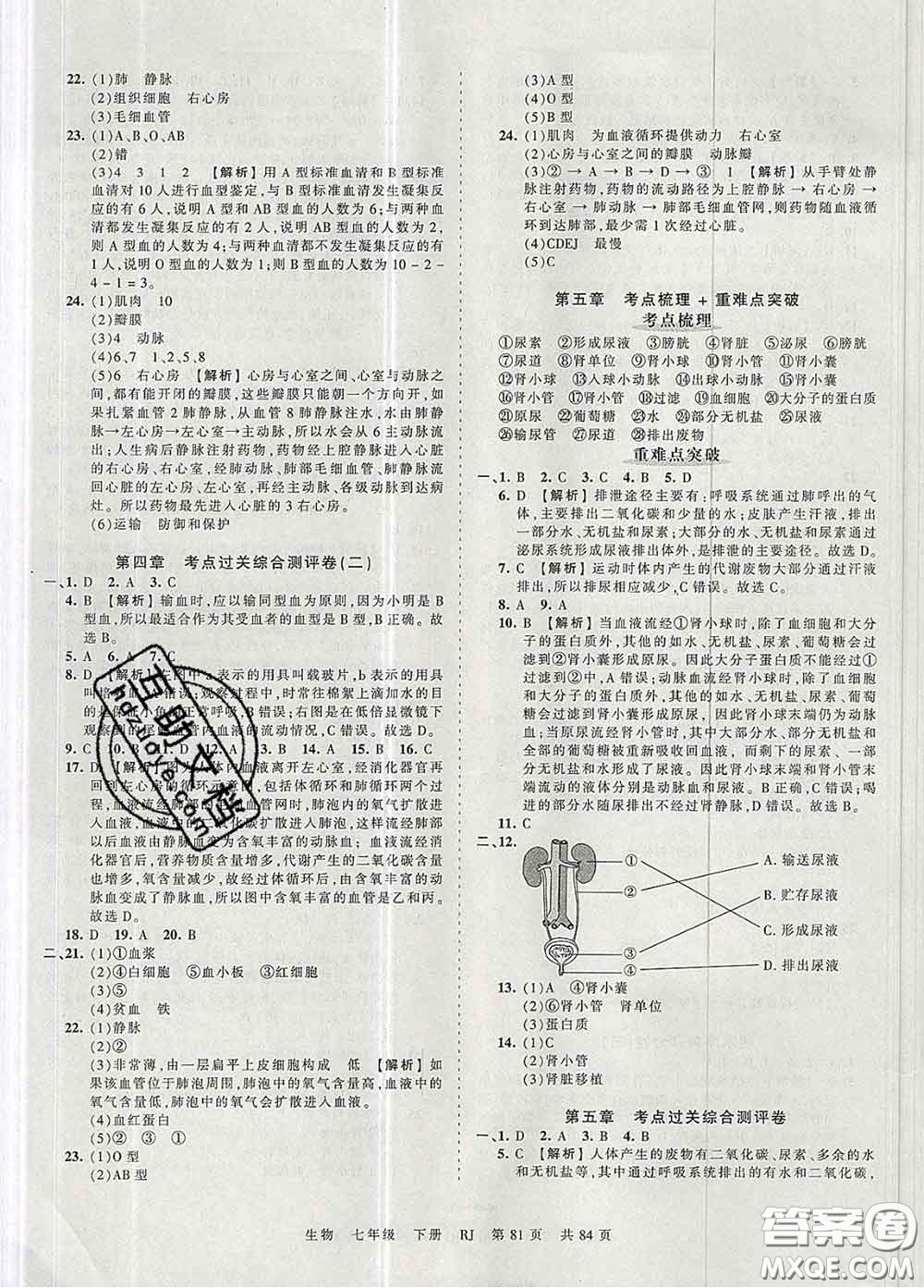 2020新版王朝霞考點梳理時習(xí)卷七年級生物下冊人教版答案