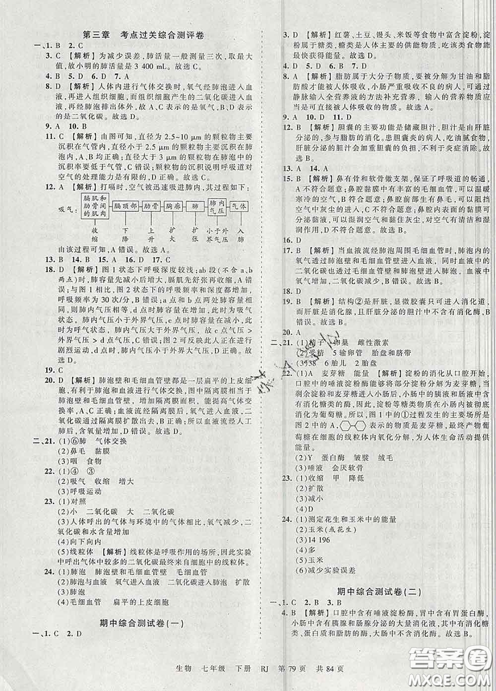 2020新版王朝霞考點梳理時習(xí)卷七年級生物下冊人教版答案